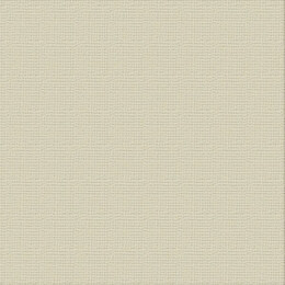 Ultimate Crafts Cardstock 12x12 Textured- Delicate Medlar (216gsm)