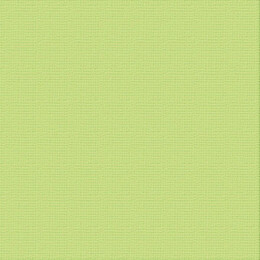 Ultimate Crafts Cardstock 12x12 Textured- Mantis (250gsm)