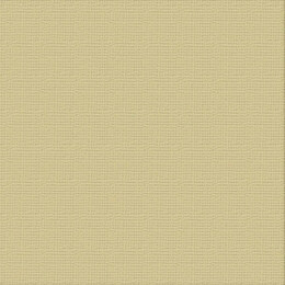Ultimate Crafts Cardstock 12x12 Textured- Driftwood (250gsm)