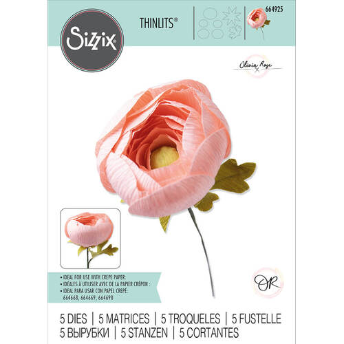 Sizzix Thinlits Die Set (5Pk) - Ranunculus by Olivia Rose 664925