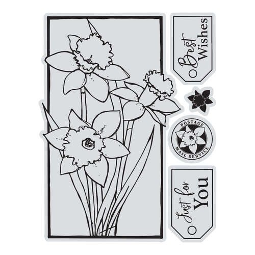 Stamp & Colour Outline Stamps - Framed Daffodils (5pc)