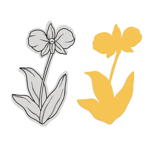 Couture Creations Stamp and Dies - Australia's Natural Beauties - Cooktown Orchid