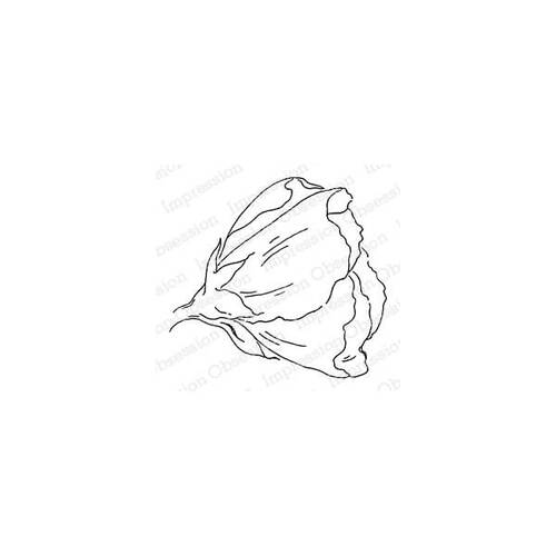 Impression Obsession Cling Stamp - Hibiscus Bloom 1 D20923