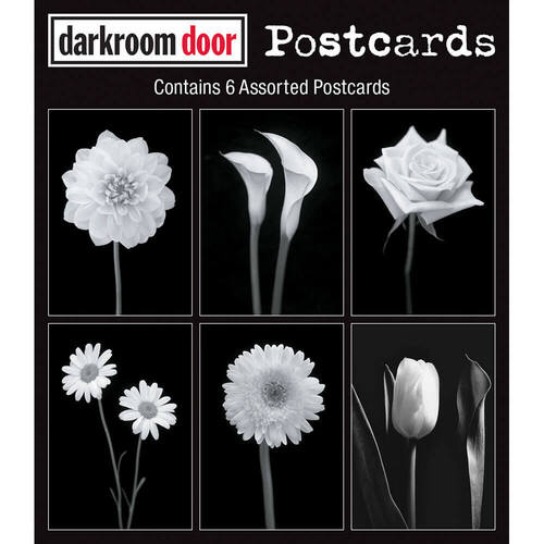 Darkroom Door Postcards - Viva La Flora DDPC101