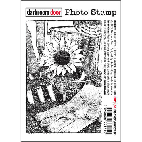 Darkroom Door Photo Stamp - Planted Sunflower DDPS051