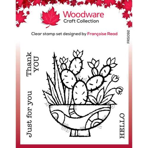 Woodware Clear Stamps Singles - Succulent Display (4in x 4in)
