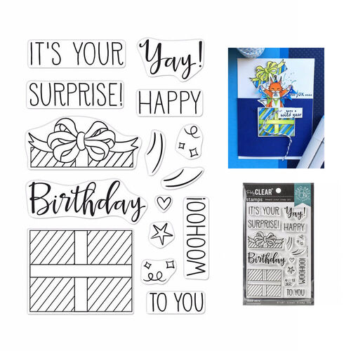 Hero Arts Clear Stamps 4"X6" - Surprise Gift HA-CM435