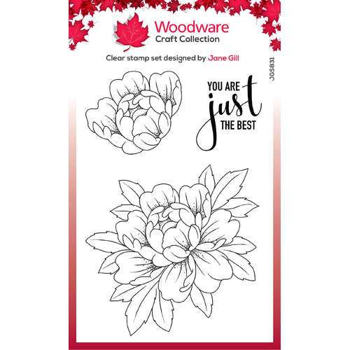 Woodware Clear Stamps - Just The Best (4in x 6in)