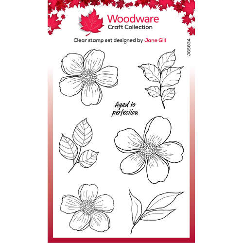 Woodware Clear Stamps - Summer Picks (4in x 6in)