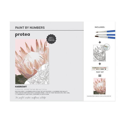 Kaisercraft Paint By Numbers 30x40cm - Protea CA231