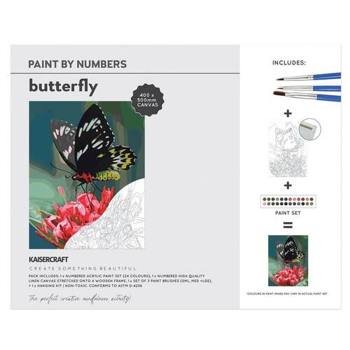 Kaisercraft Paint By Numbers 40x50cm - Butterfly CA239