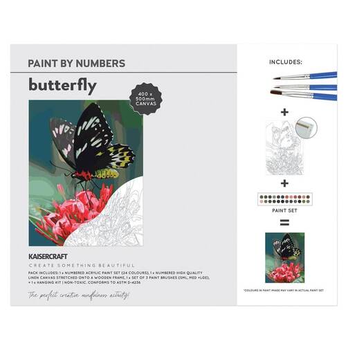Kaisercraft Paint By Numbers 40x50cm - Butterfly CA239