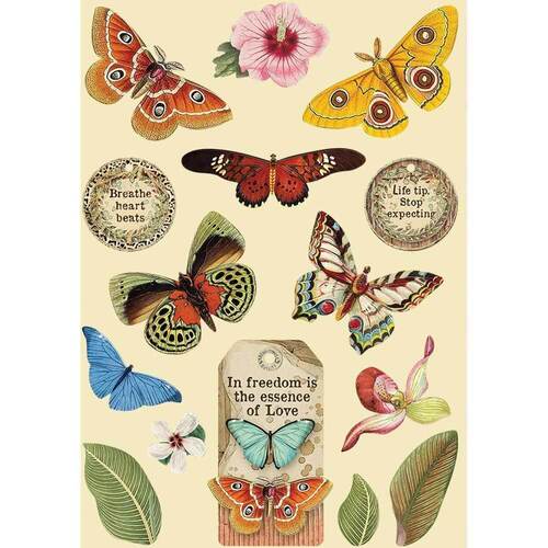 Stamperia Wooden Shapes A5 - Butterfly, Amazonia KLSP093