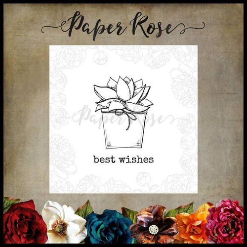Paper Rose Clear Stamp - Cactus Wishes 17892