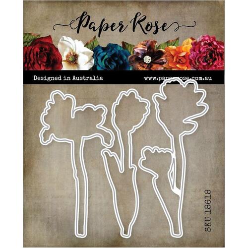 Paper Rose Dies - Kangaroo Paw 18618
